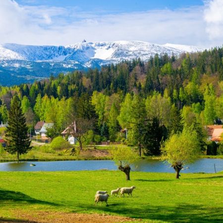 Wiosna w Karkonoszach