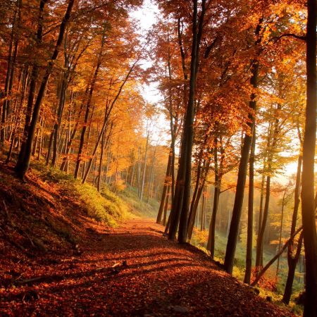 Herbst in den Bergen